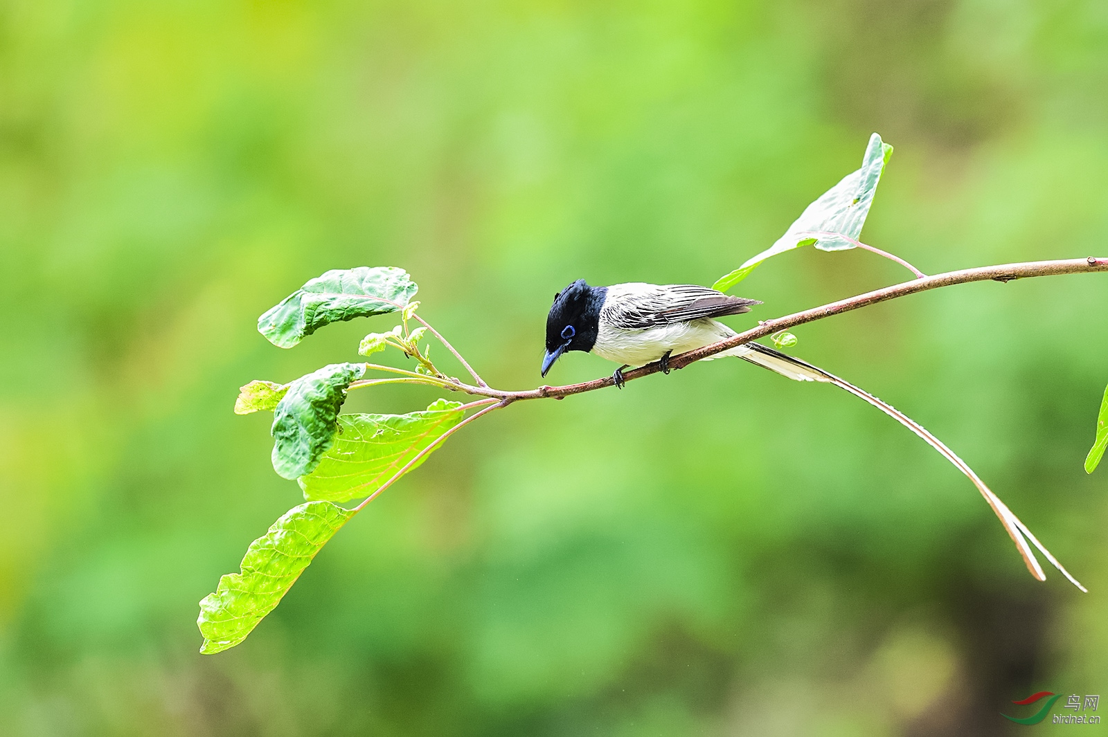 _DSC2931_4798a.jpg