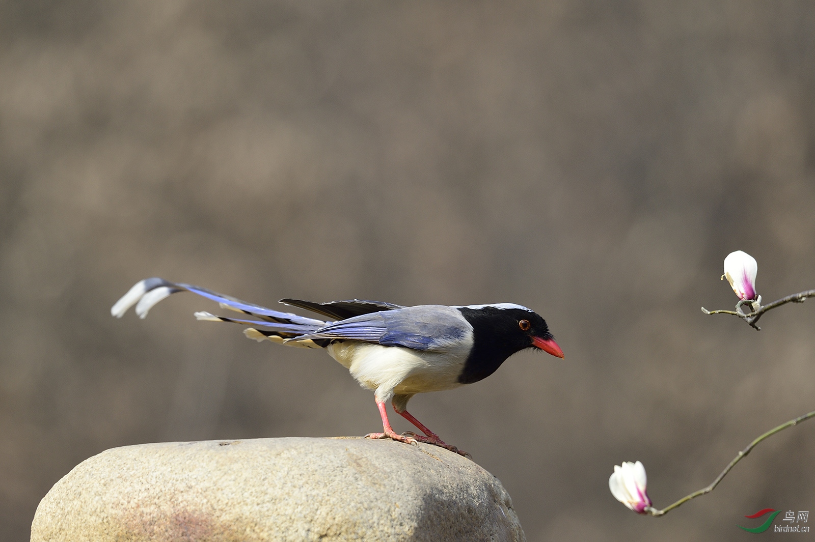_DSC5484_4719a.jpg