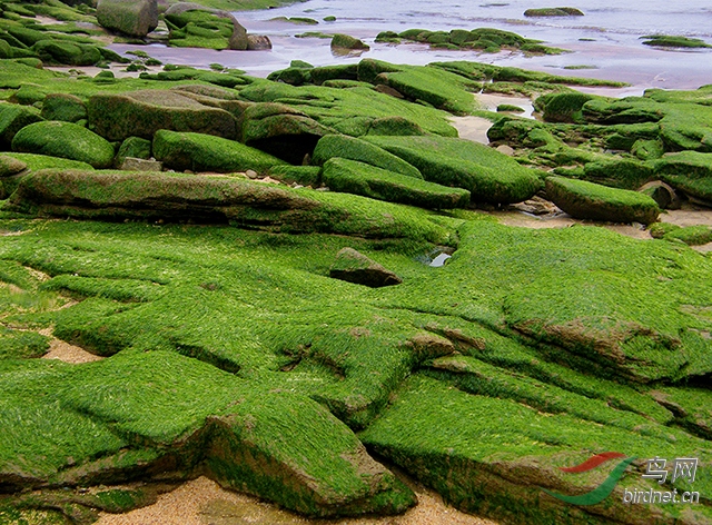 DSCF1209.JPG