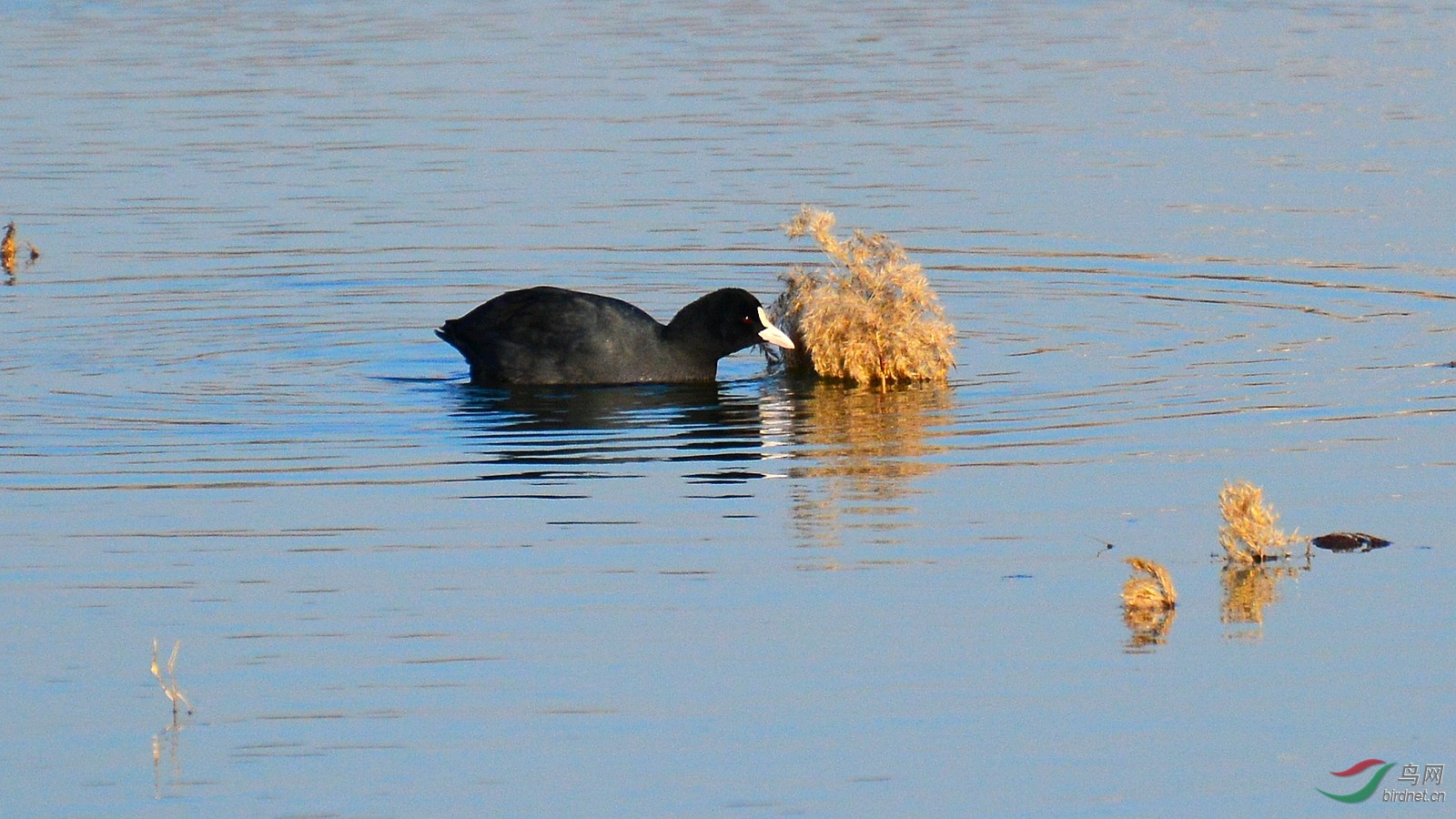DSC_6751.JPG