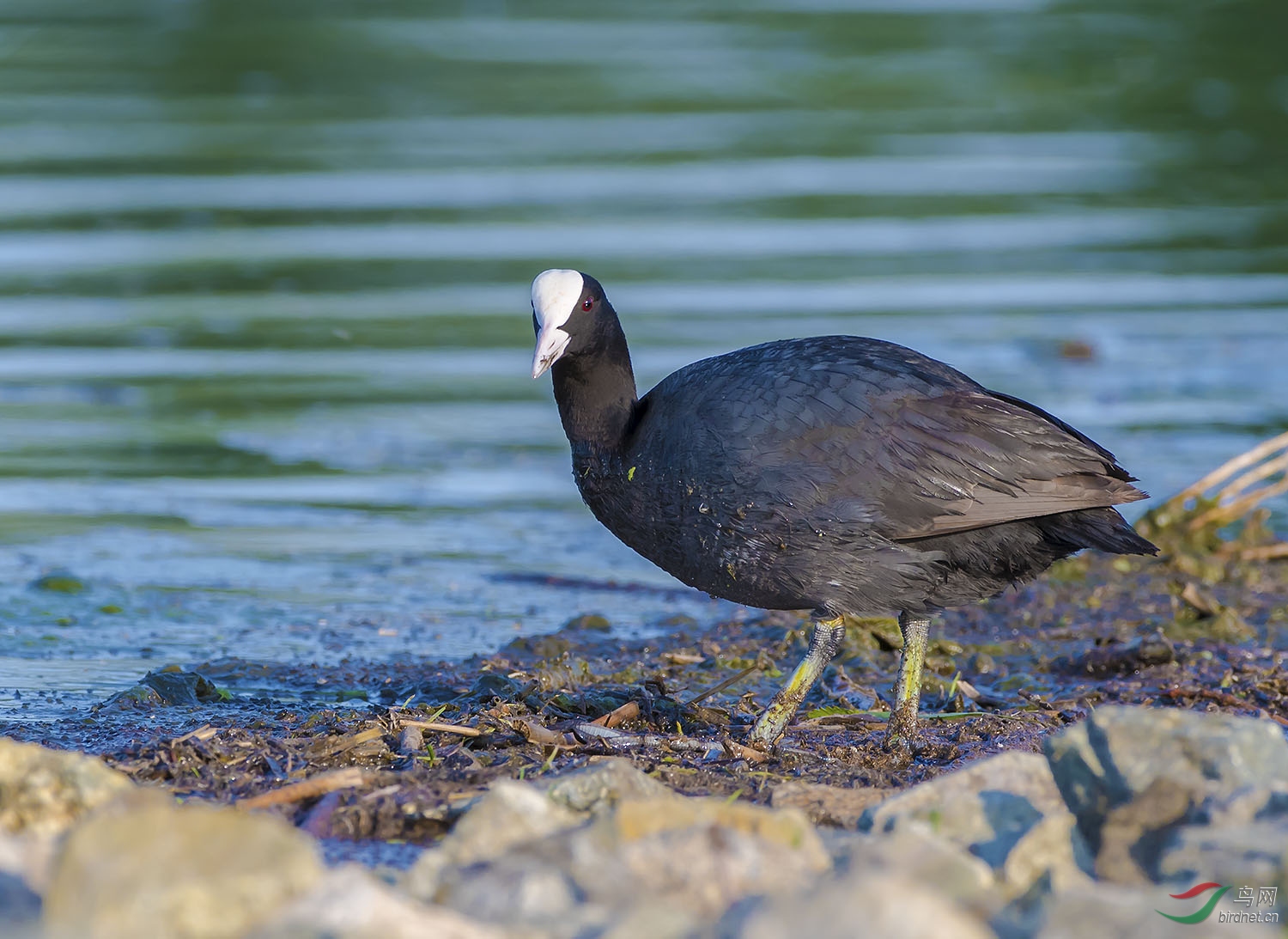 DSC_6834.jpg