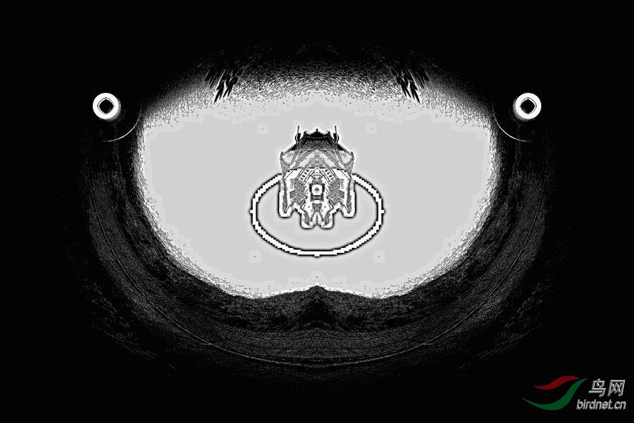 BW6I9549_����_����2_����1_����2_����1_����_����.jpg