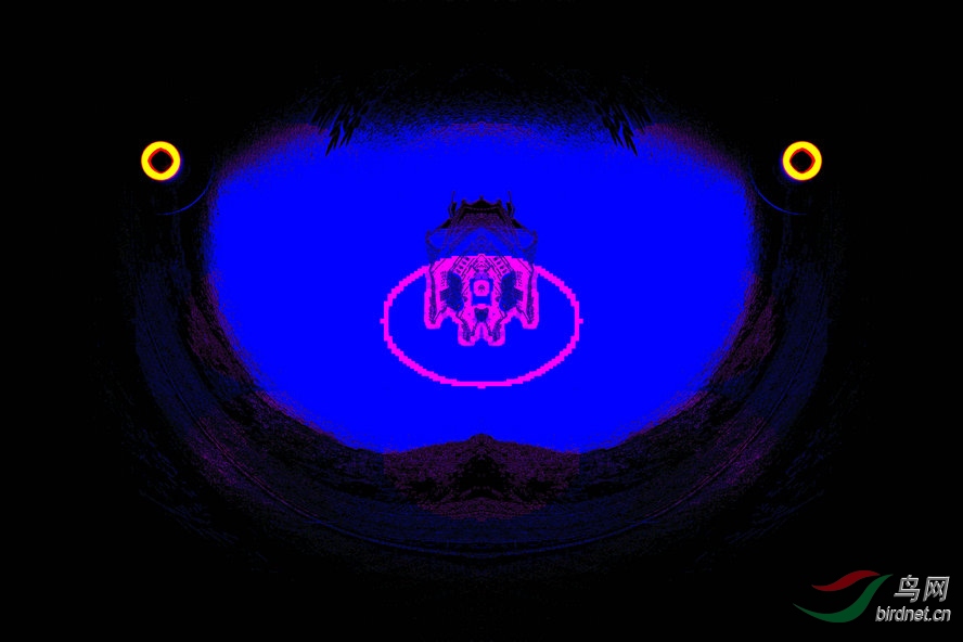BW6I9549_����_����2_����1_����2_����2_����1_����.jpg