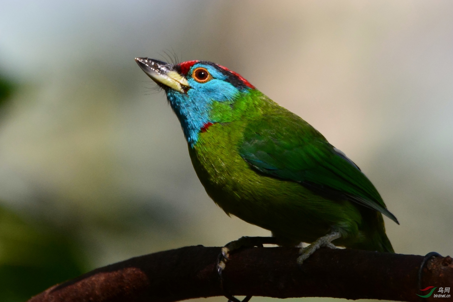 DSC_5207.JPG