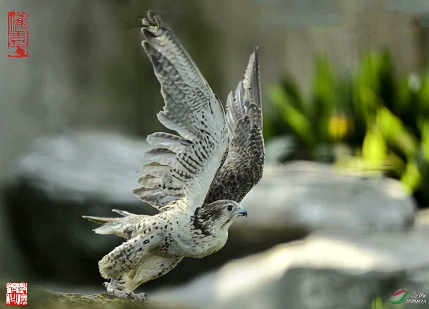 C60CC2EF-D770-4DD1-B3D3-12BF76F00BB5.jpeg