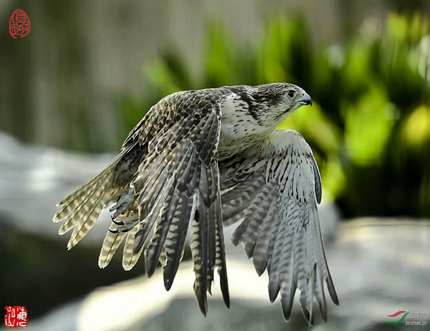 302375BF-12FD-4D4F-891A-DF4B21744747.jpeg