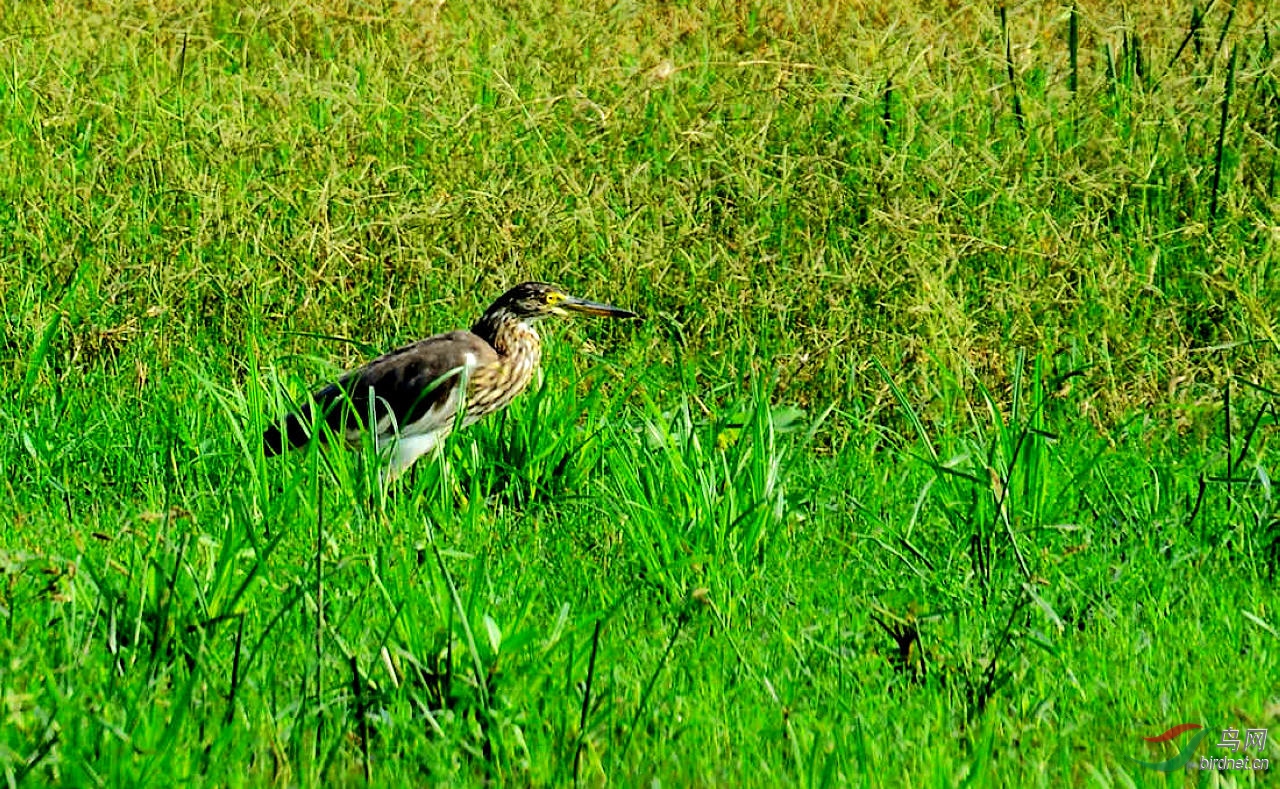 1 DSC_7148.JPG