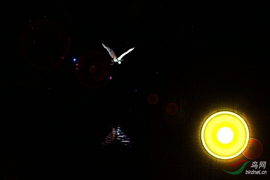 4K0A2344_����_����1_����1_����.jpg