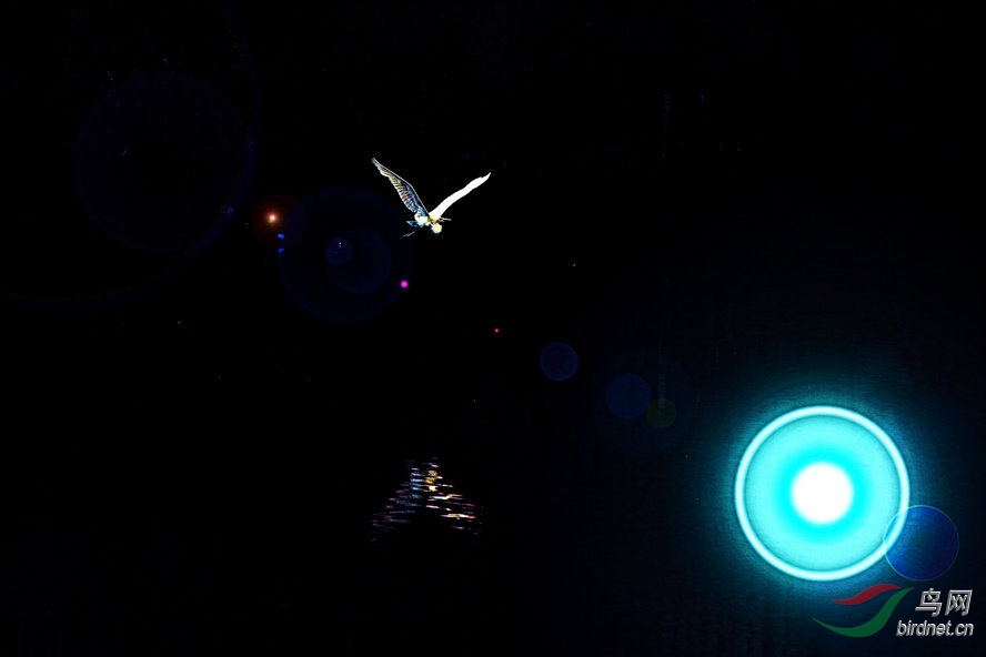 4K0A2344_����_����1_����.jpg