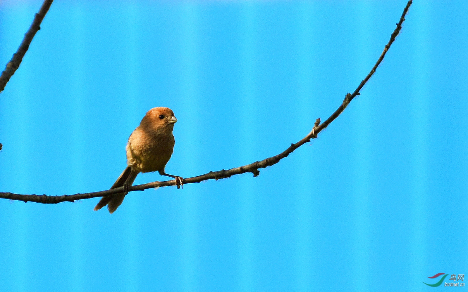 DSC_9564.JPG