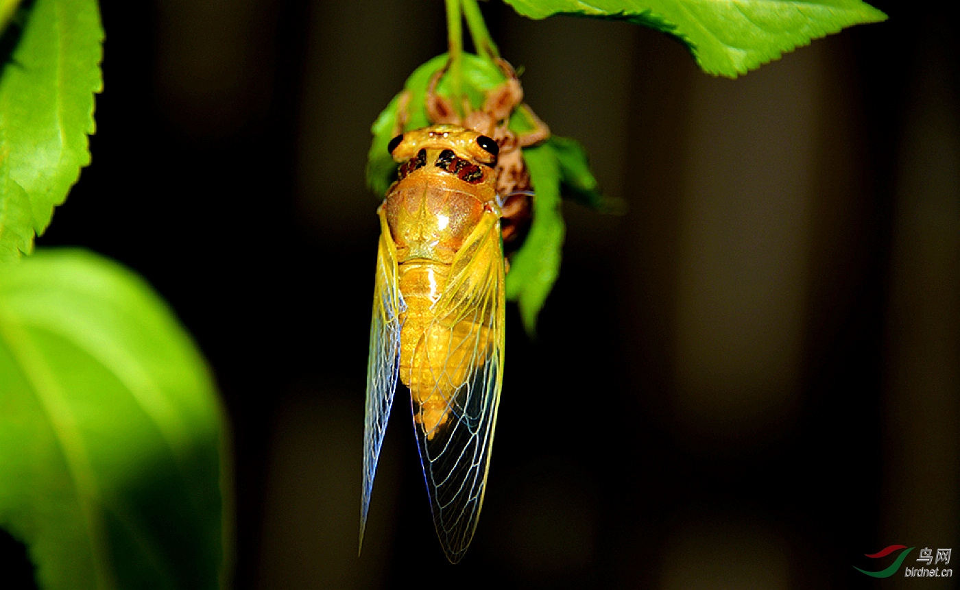 DSC_3076.jpg
