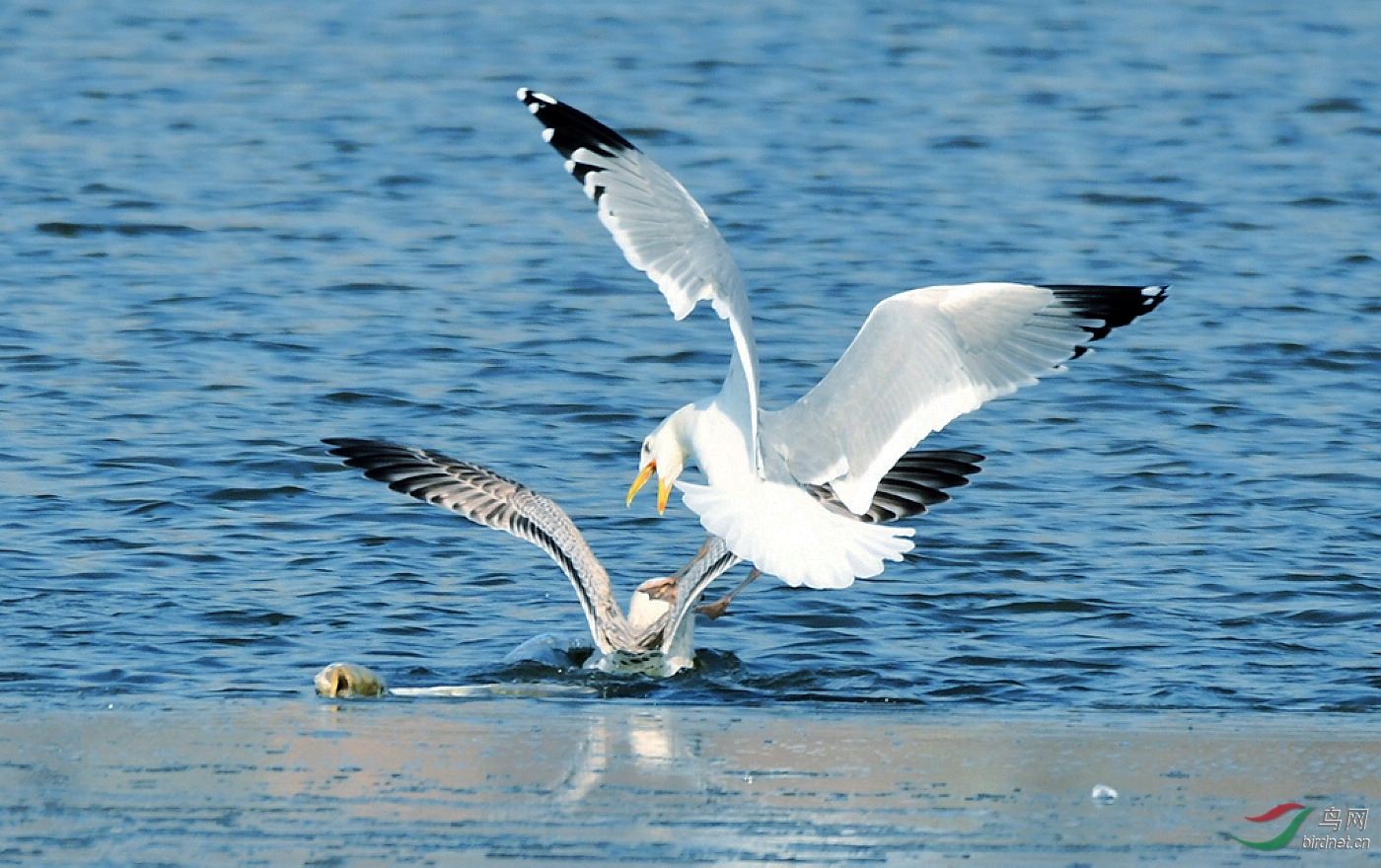 D50_7539.jpg