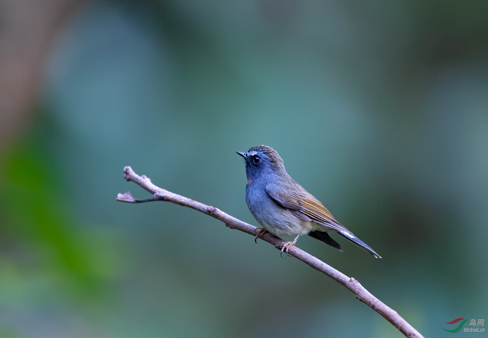 DSC_3201.jpg
