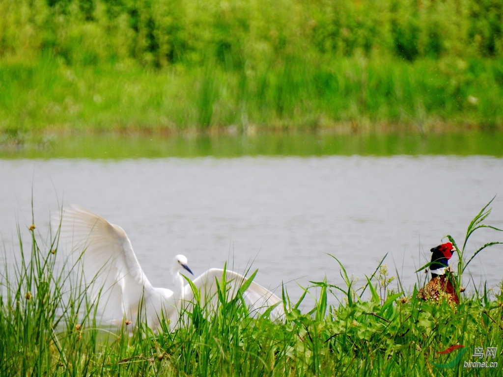 DSCN8204_����.jpg