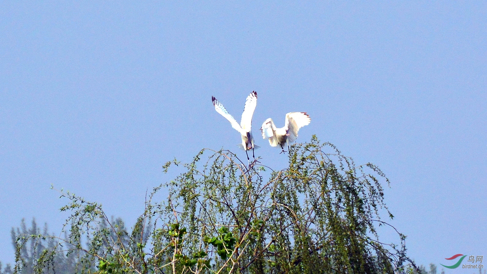 DSC_6358.JPG