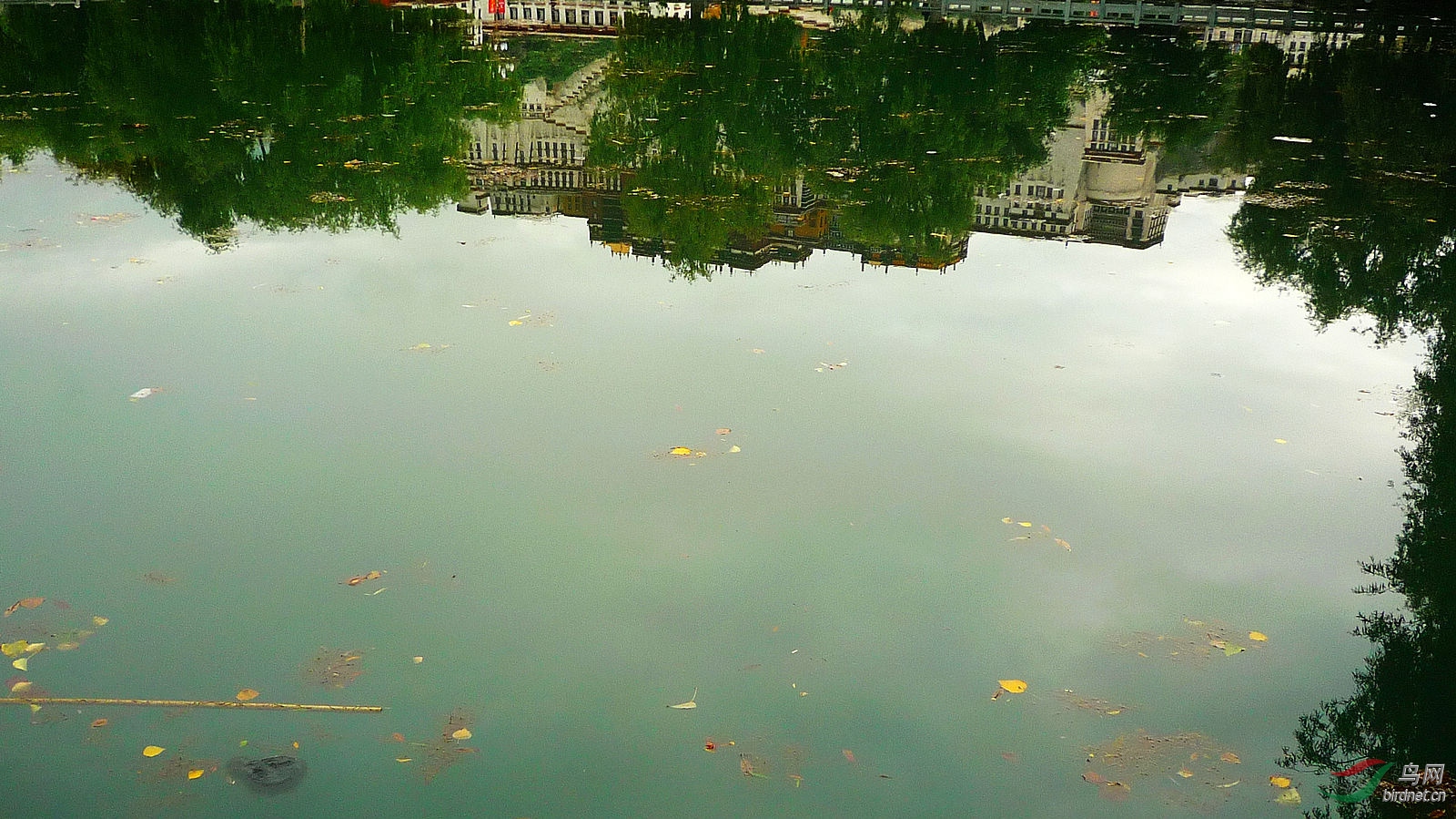 L1040789.JPG