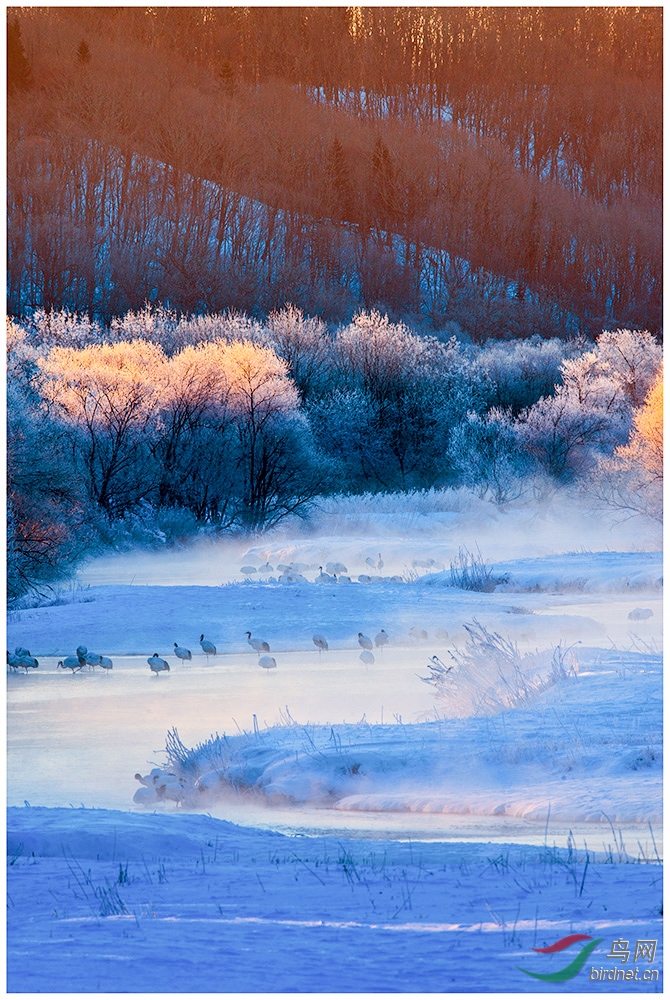 DSC_7279-0.jpg