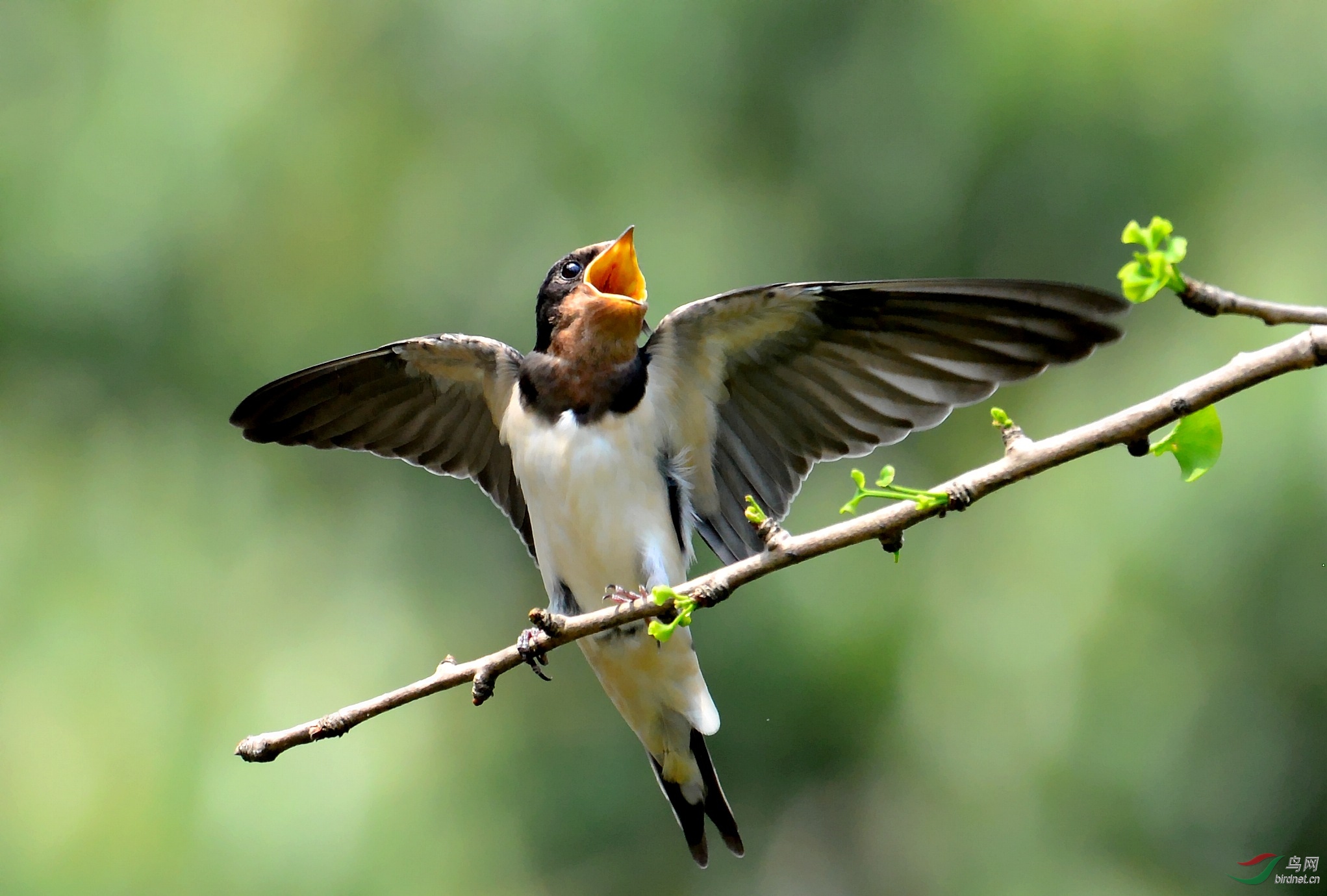DSC_7081_conew3.jpg