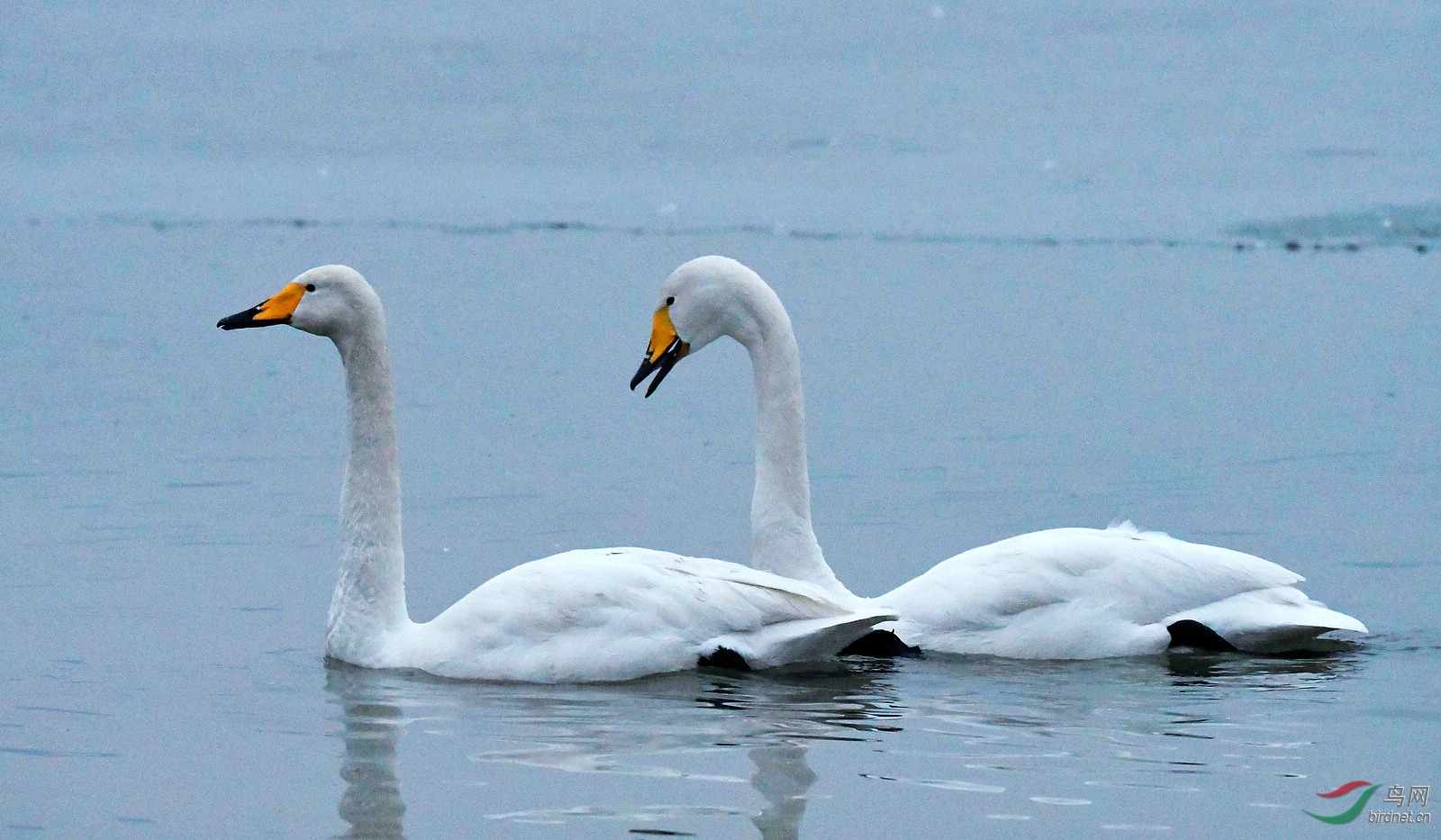D50_5233.jpg