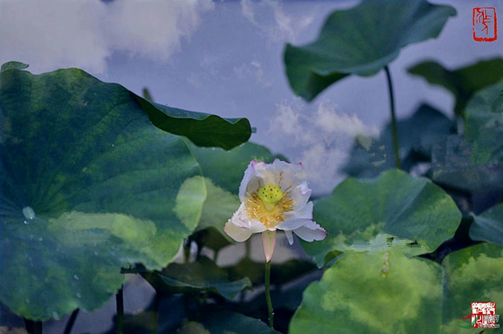15FA4894-18AA-4D2D-AA71-8A4D0D83CCFF.jpeg