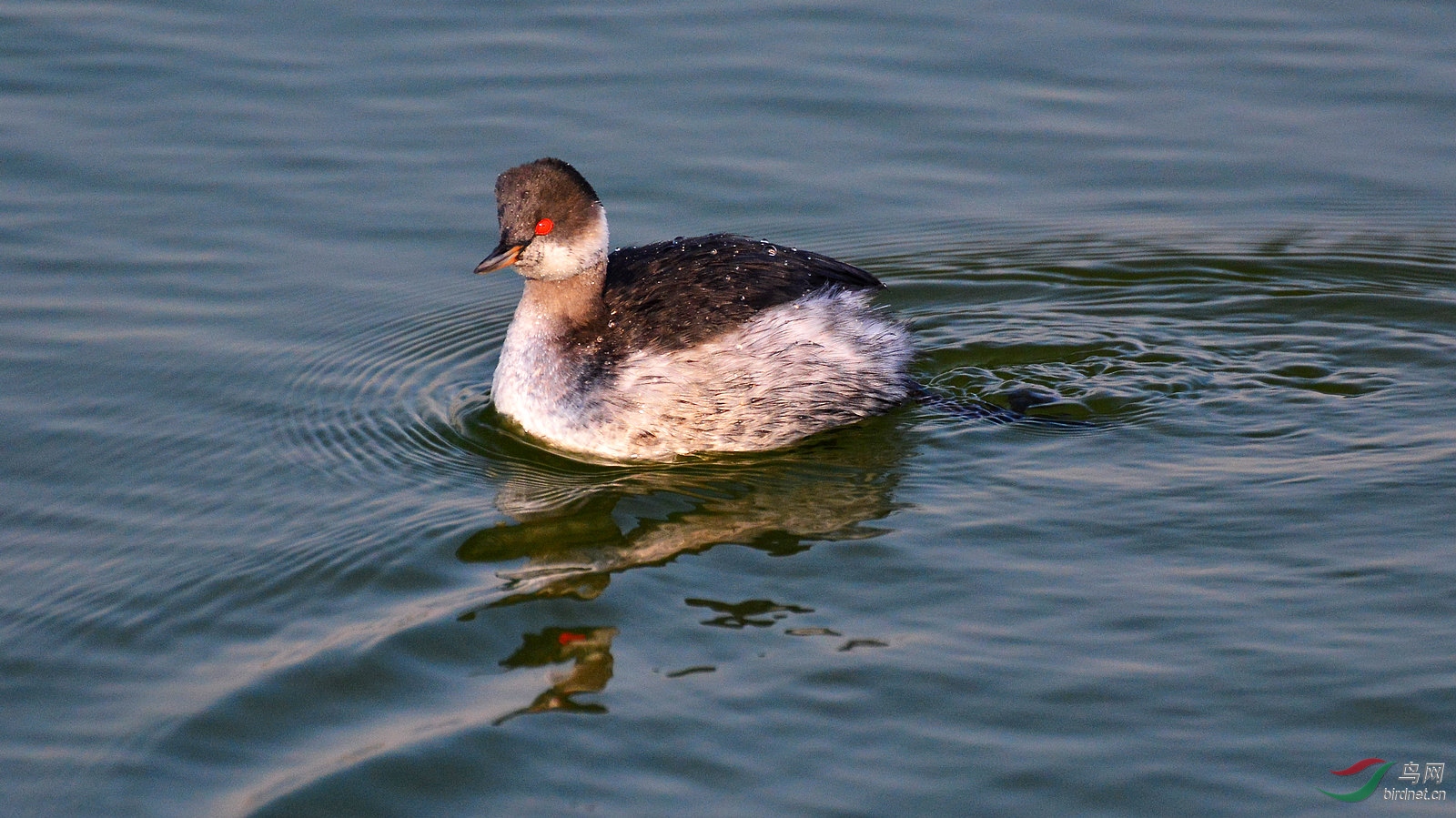DSC_6325.JPG