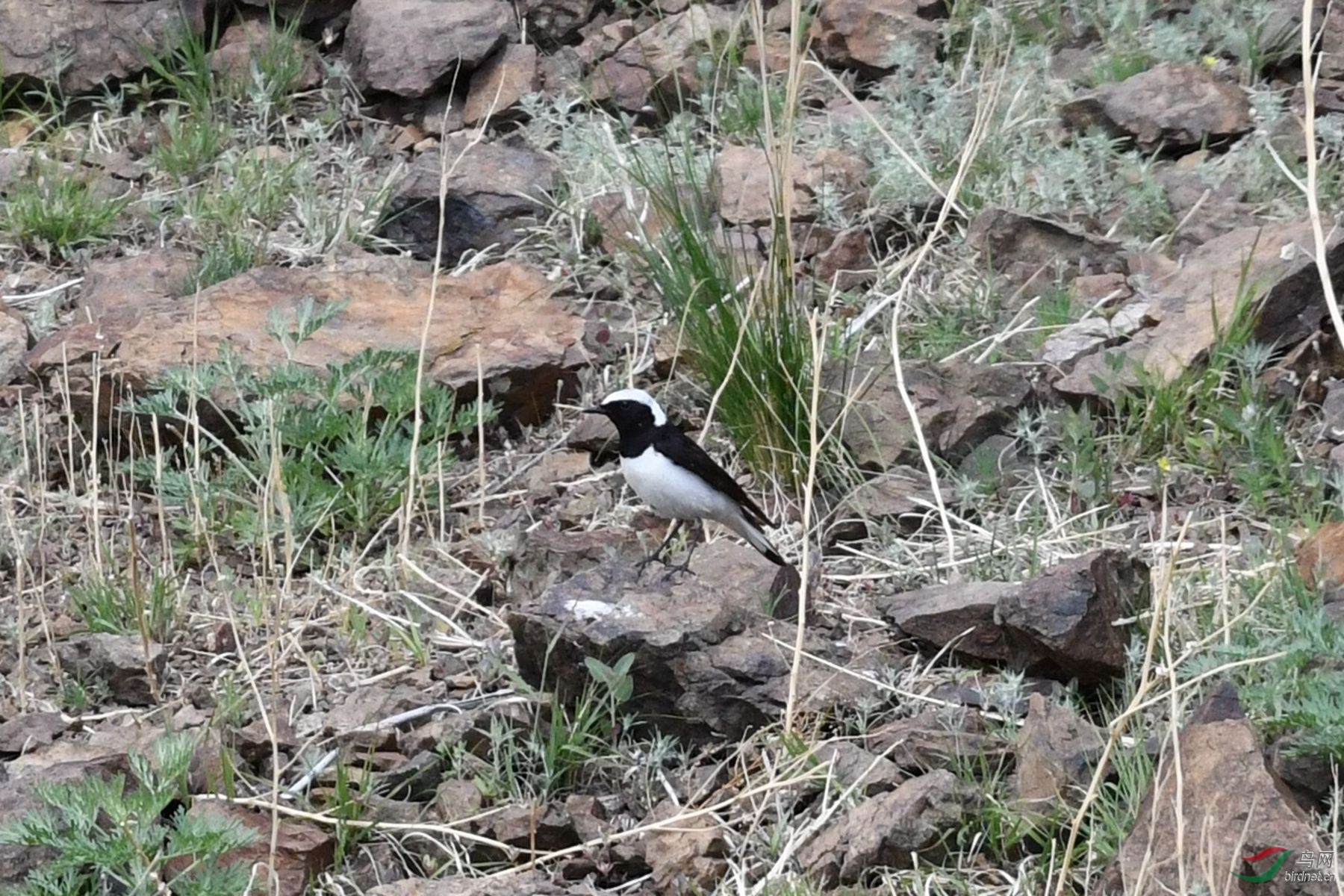 �׶� DSC_7921_����.jpg