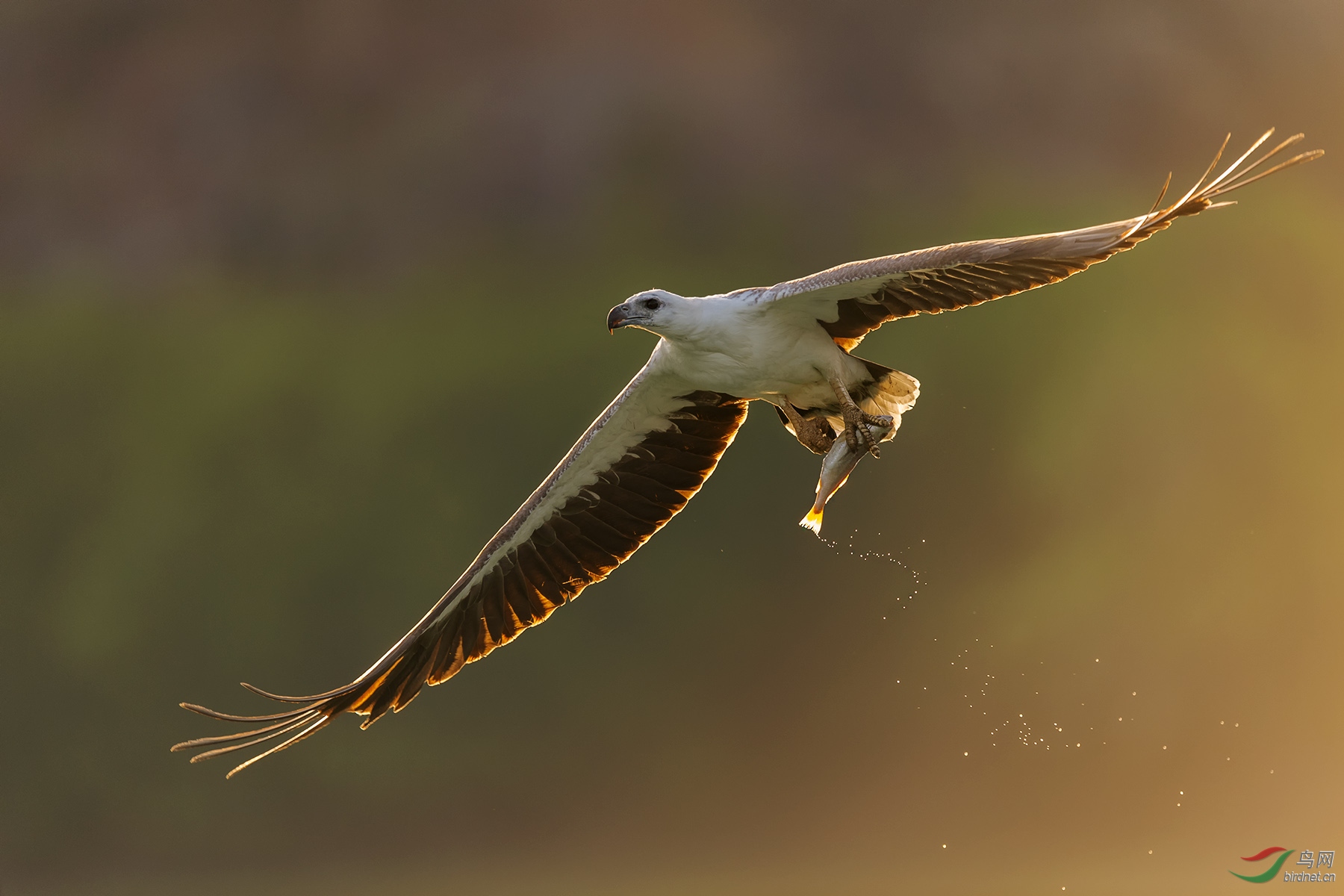 _DSC4739 - ���� (2).jpg