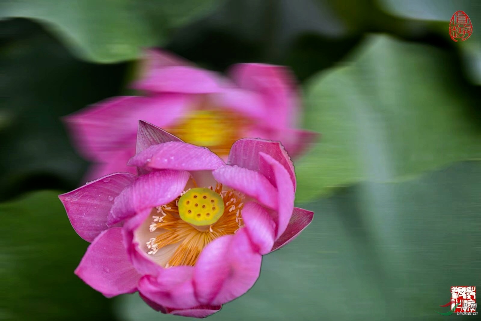 8F53D529-0054-41AB-A9DB-632A996E205F.jpeg