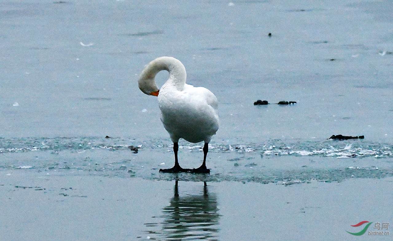 D50_5188.jpg