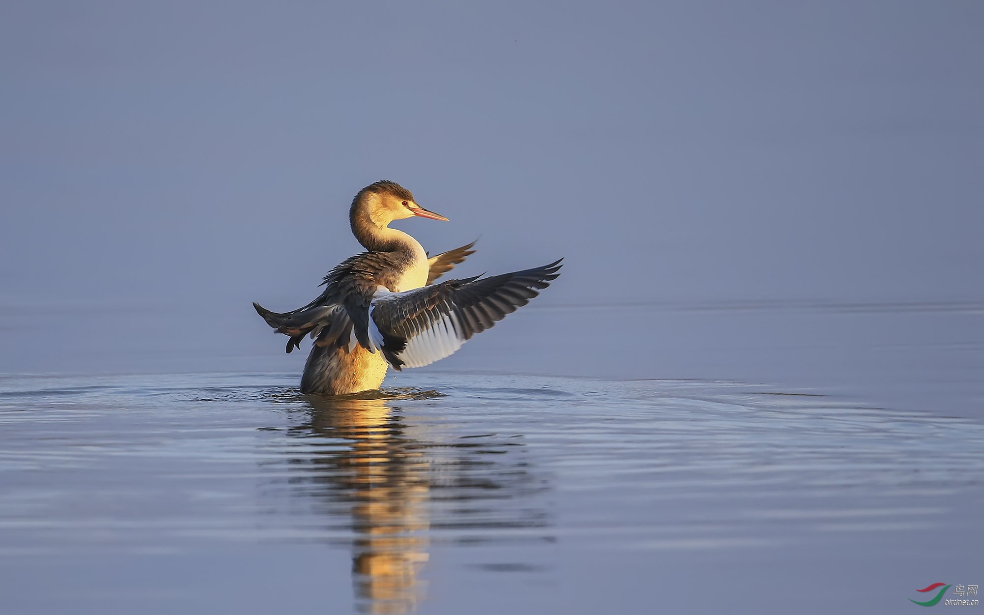 ������ (32).jpg