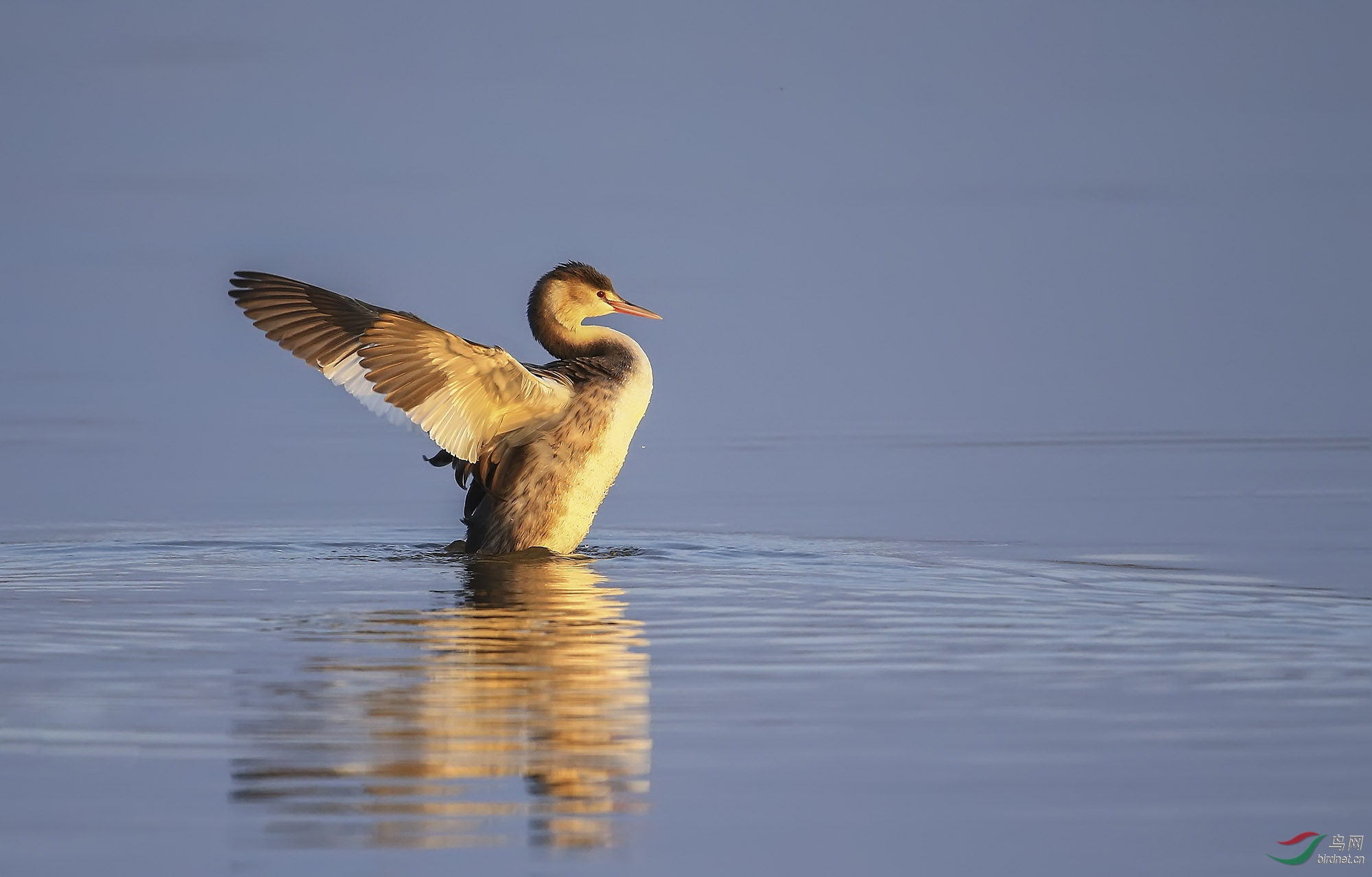 ������ (30).jpg