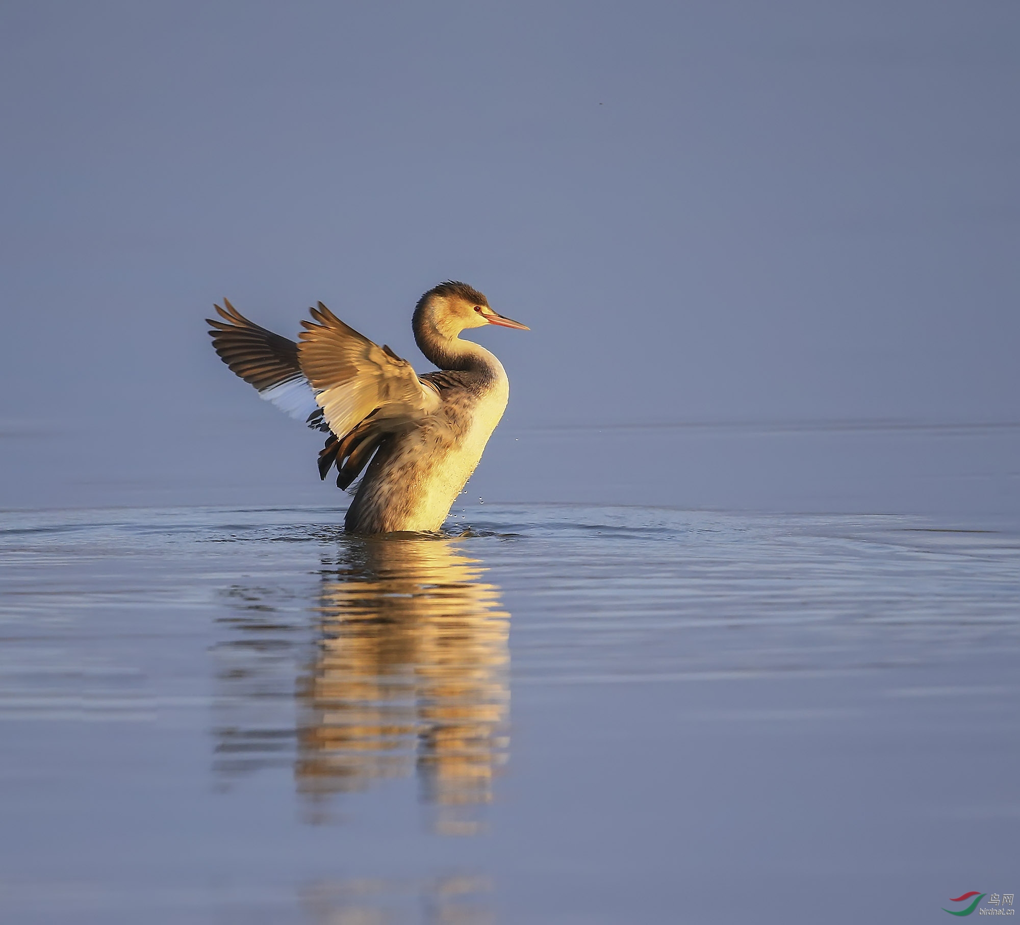 ������ (33).jpg