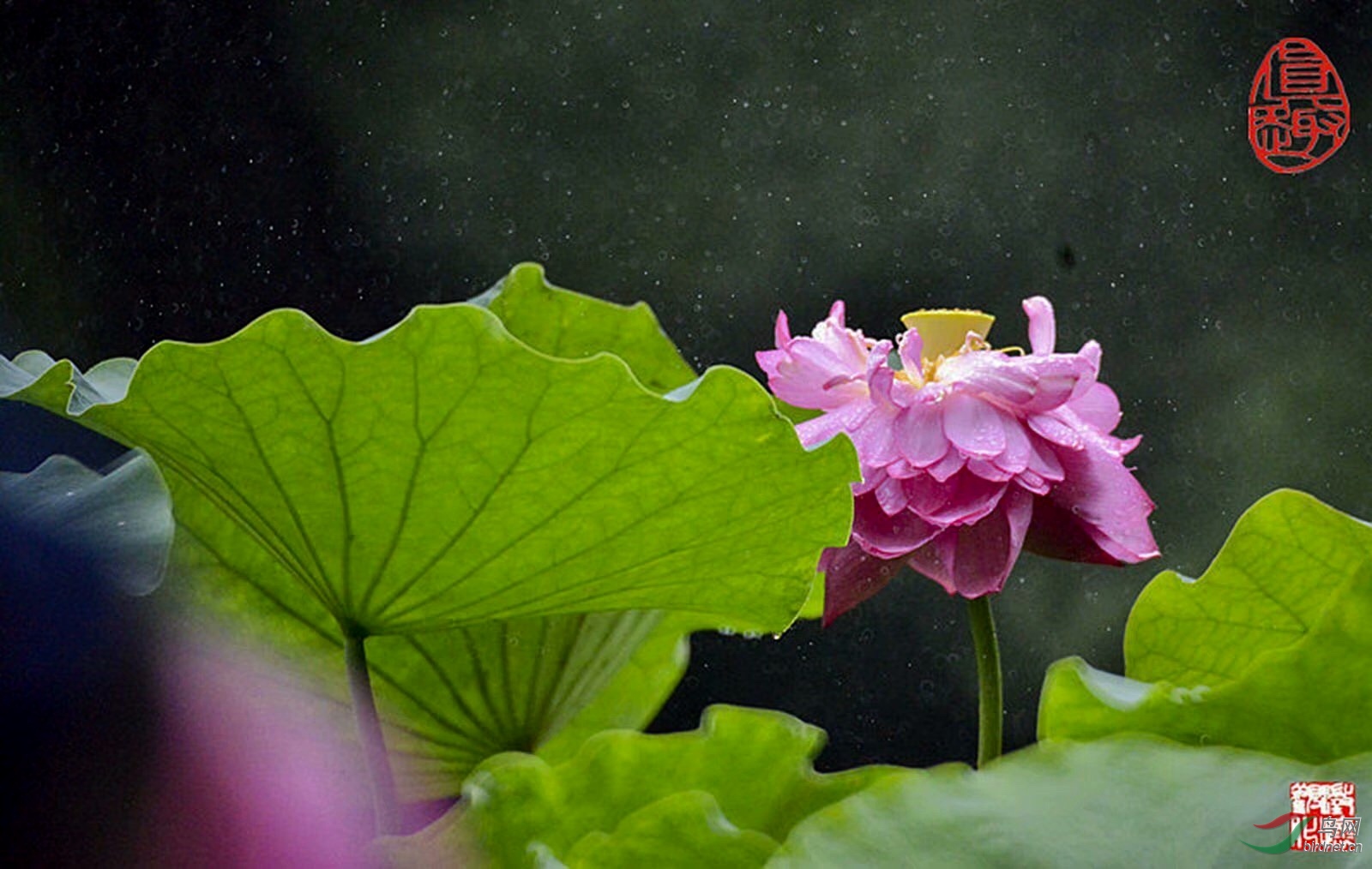 93564AAE-A82E-4655-ABE0-3863E66A4AAB.jpeg