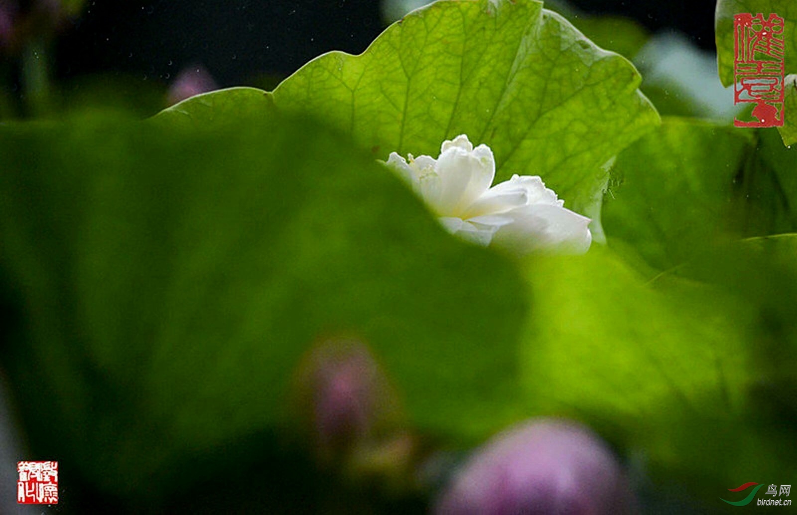 33FB91FE-FC45-4A1C-9617-7B7C2995E8C9.jpeg