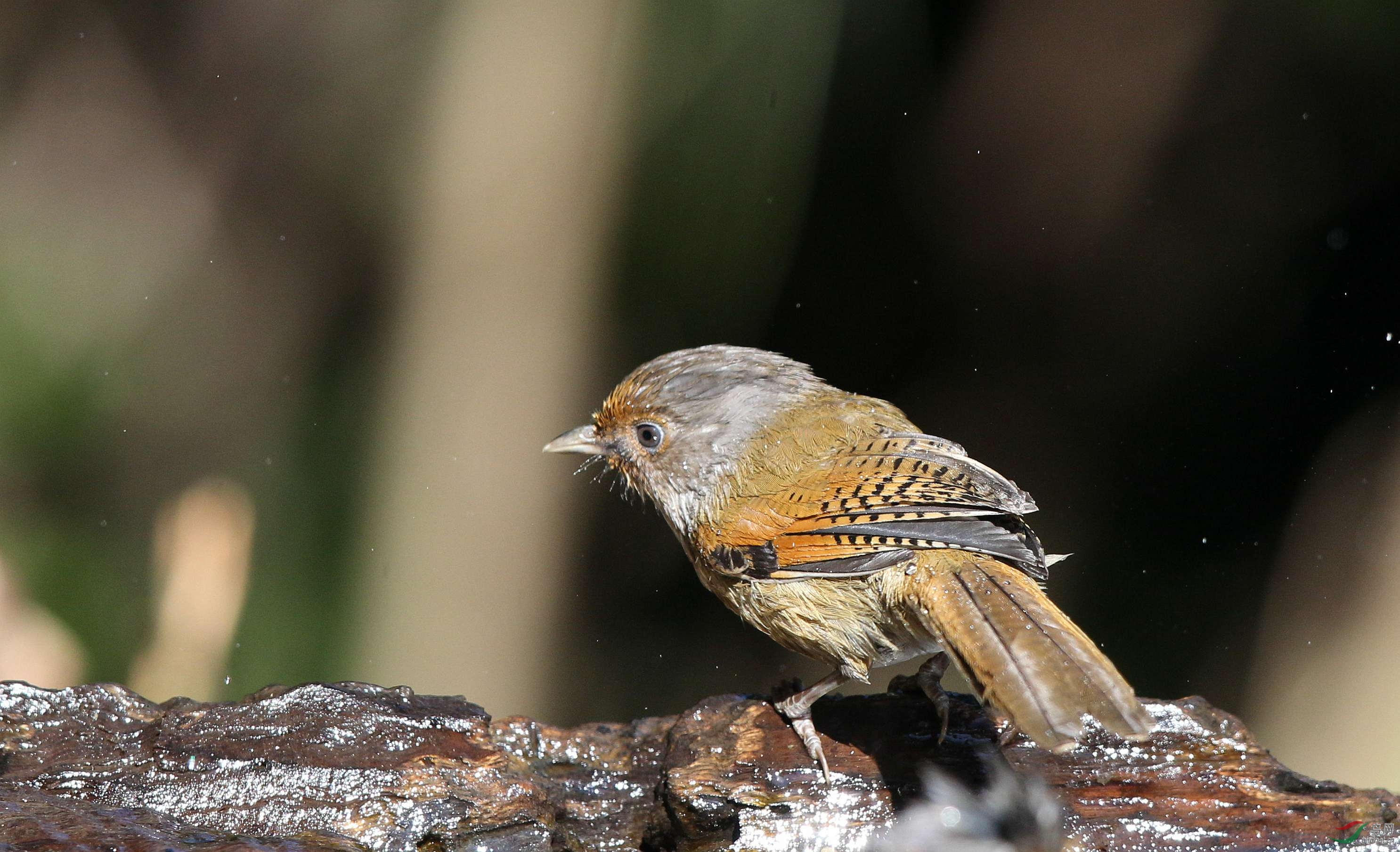 H46R0488_���� (2).jpg