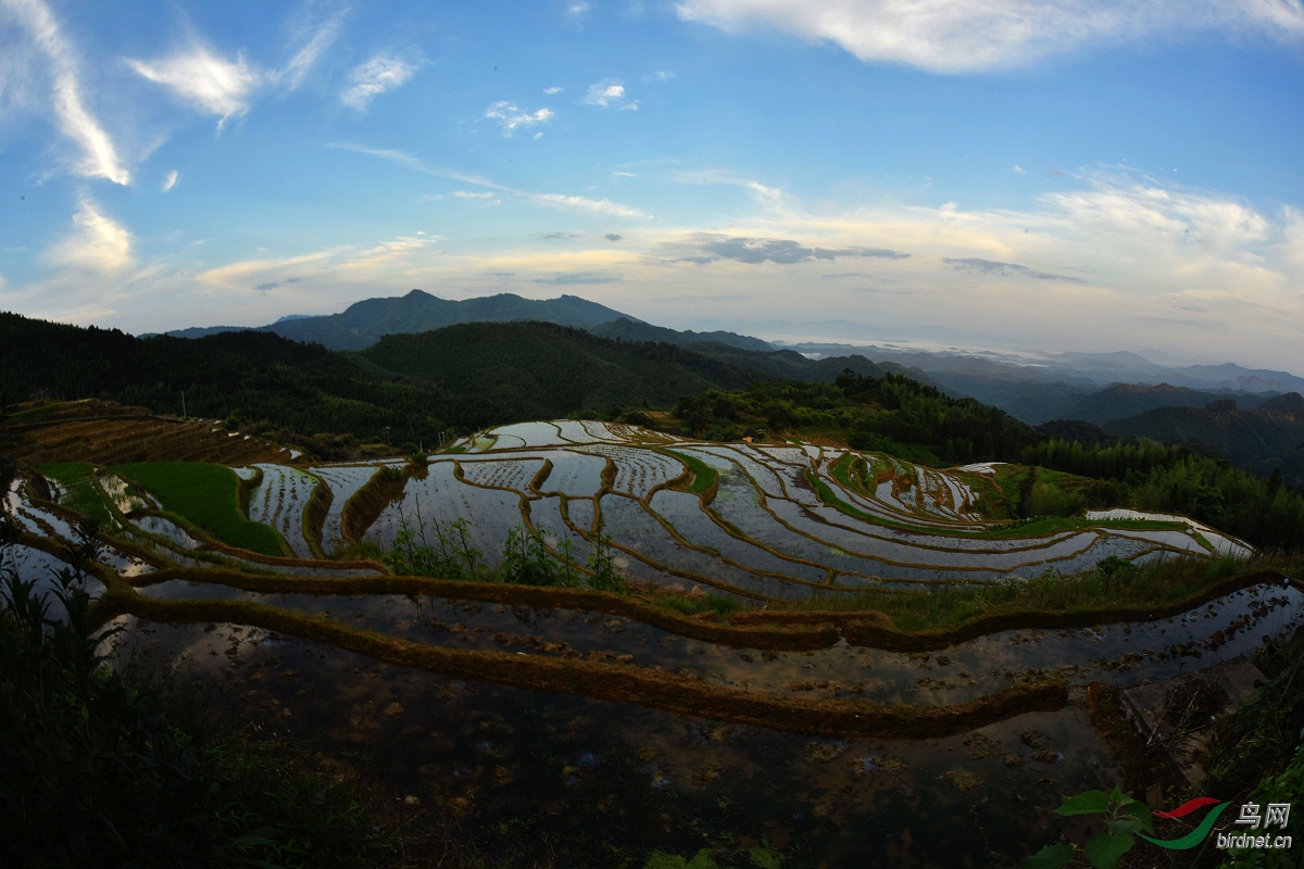 梯田