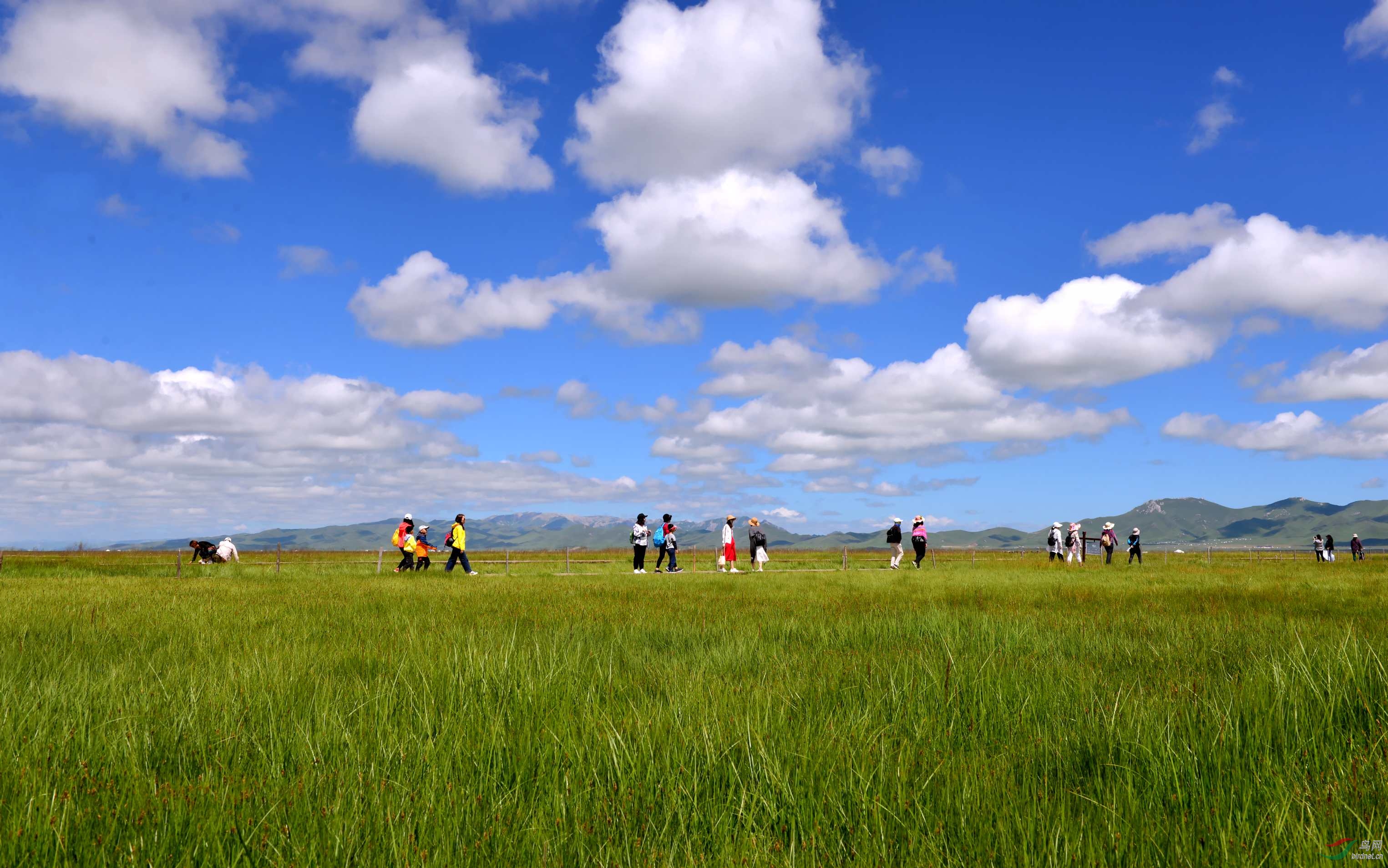 DSC_0790_conew2.jpg
