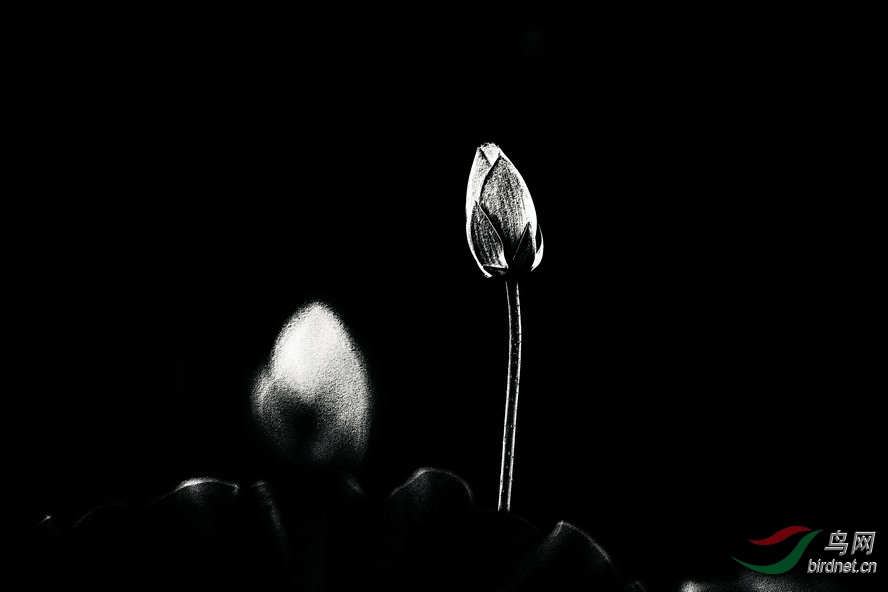 AQ1I6306_����_����1_����.jpg