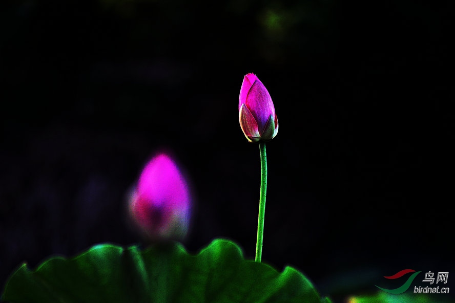 AQ1I6306_����_����.jpg