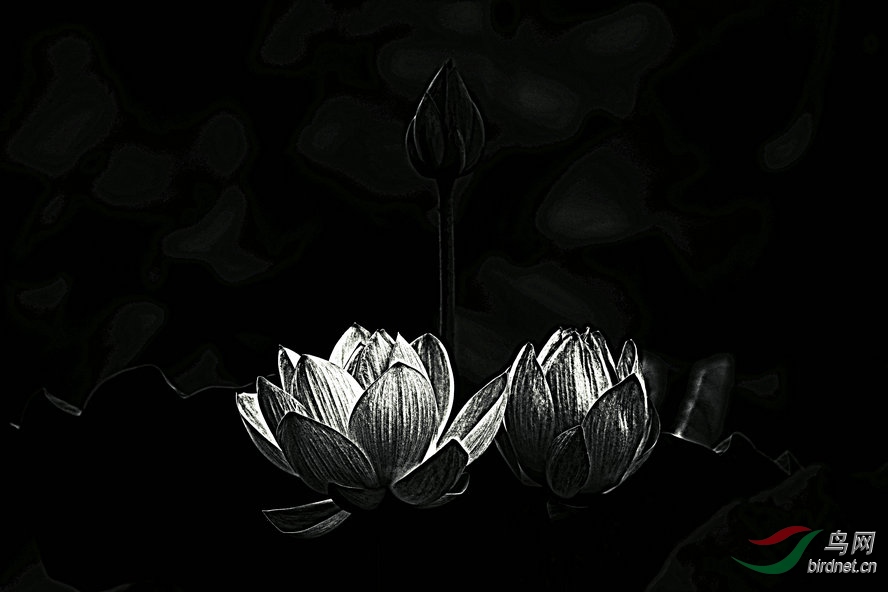 AQ1I6313_����_����1_����.jpg
