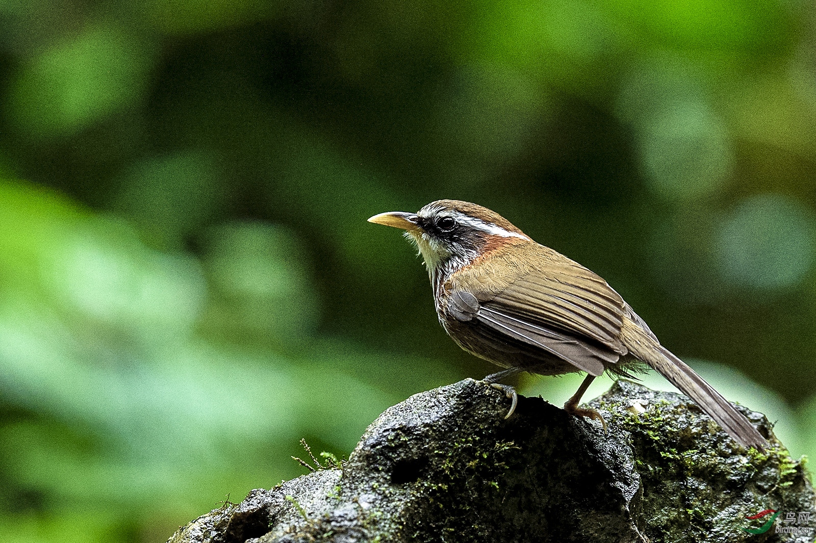 _D4S6936_1784a.jpg