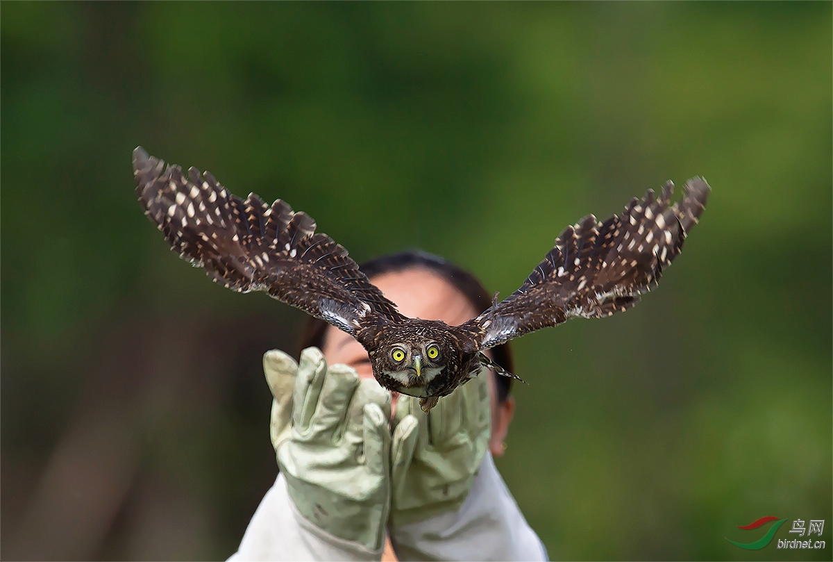 DSC_3470BBB ����-11111.jpg