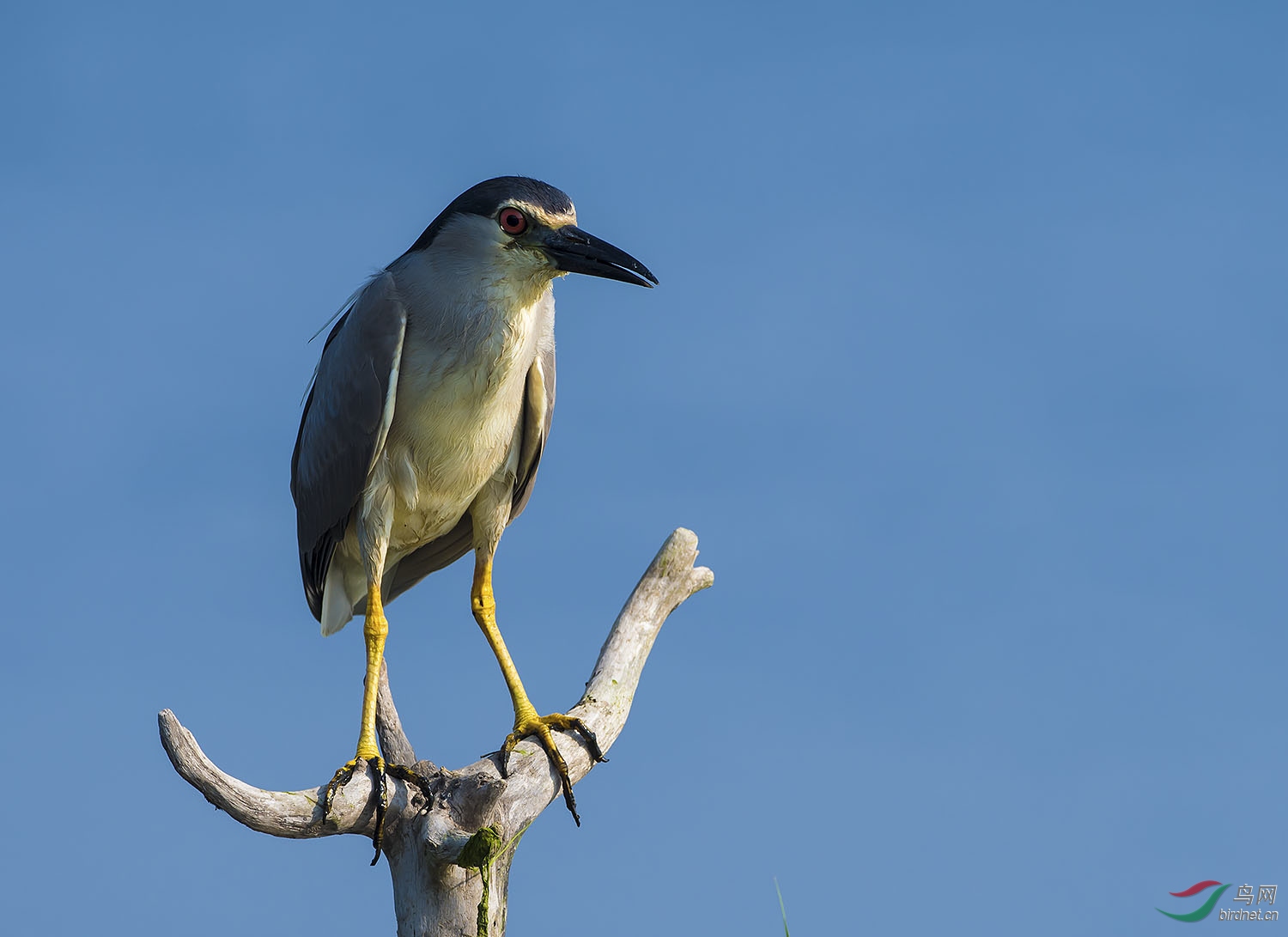 DSC_5208.jpg