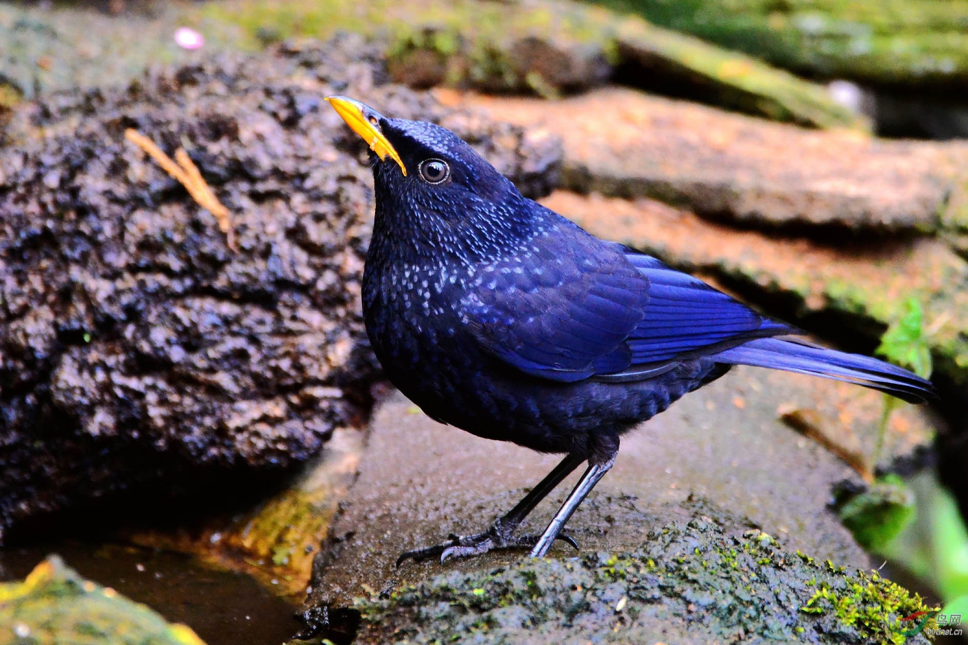 DSC_8253.JPG