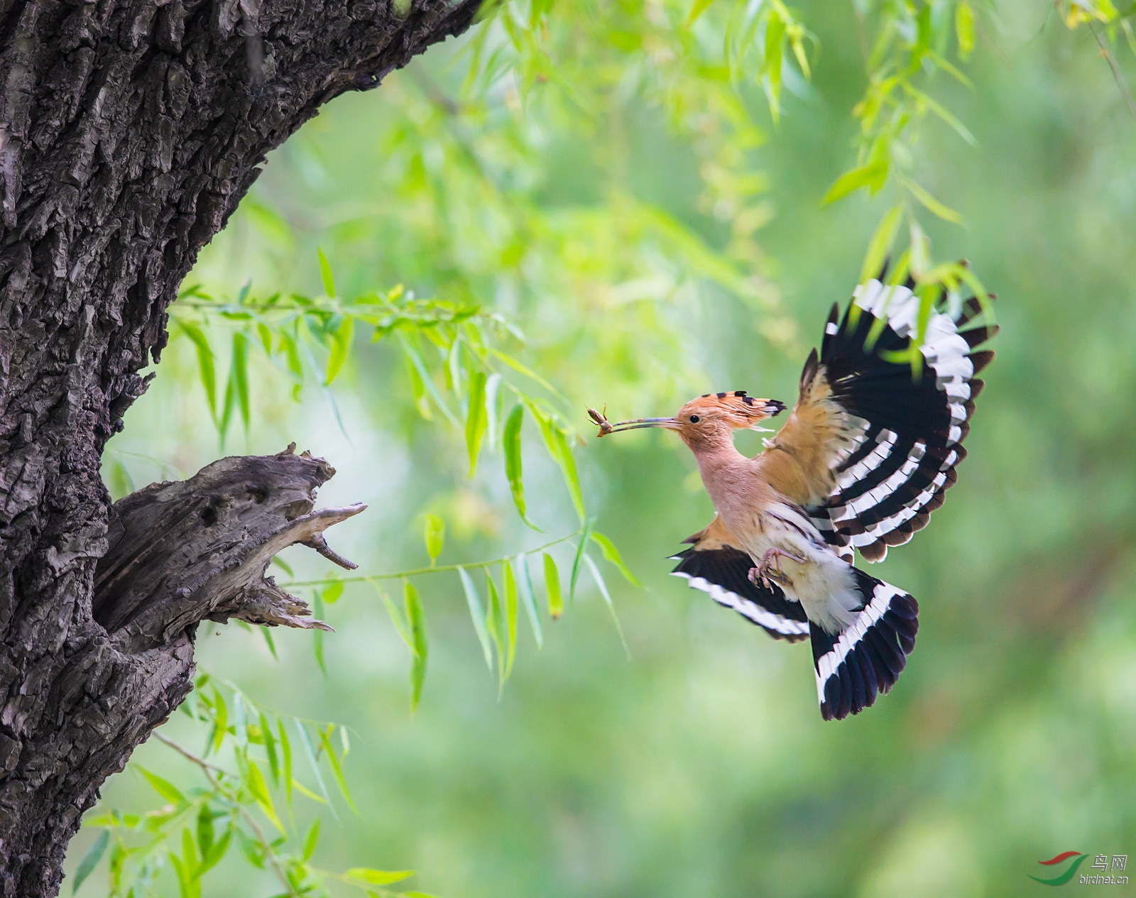 B19X5927_����.jpg