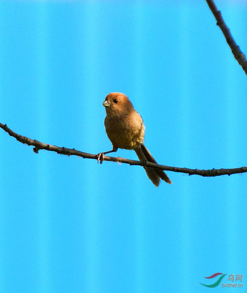 DSC_9565.JPG