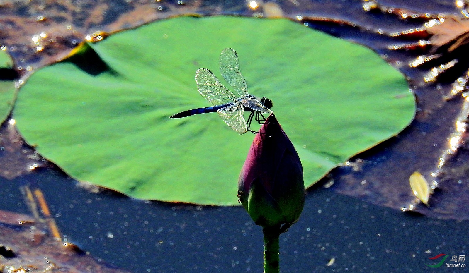 DSCN9203.JPG