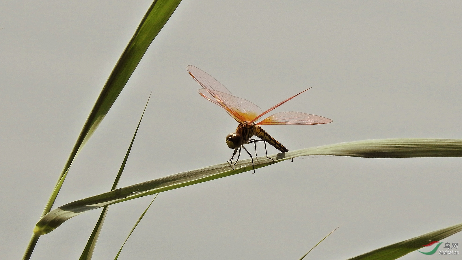 DSCN2777.JPG