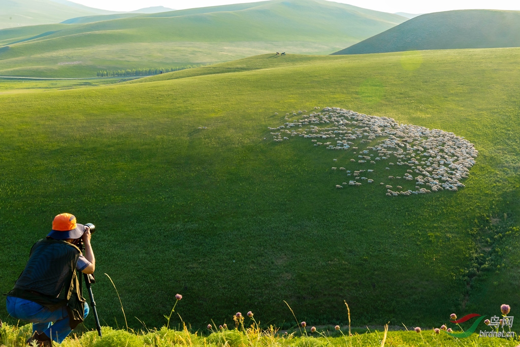 _16A0774  02_����.jpg