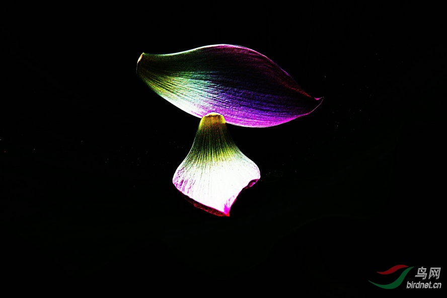 AQ1I6381_����_����.jpg
